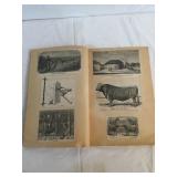 PHOTOS IN NICE OLD SCRAP BOOK