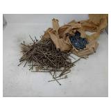 Lot of carpentry nails