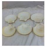 Decorative shells