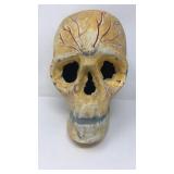 Painted vintage skull