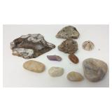 Petrified wood Gem and stone lot