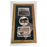 Framed Grizzly Bear Art
