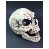 Seasons Plastic Skull with Articulating Jaw