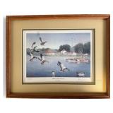 Les C. Kouba 'Mallards Visit Excelsior' Signed P