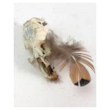 Natural History Specimen: Rodent Skull and Feather