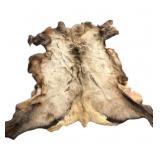 Approximately 56 X 46" Elk Hide