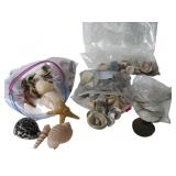 Assorted Collection of Sea Shells and Sand Dollars