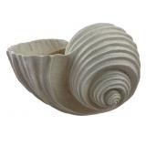 Large Cast Resin Nautilus Shell Planter