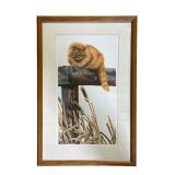 Amy Brackenbury Signed and Numbered Cat Print
