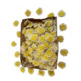 Large Lot of Hand-Crocheted Wool Daisy Appliques