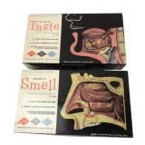 Superior Plastics Anatomy of Taste & Smell Kits