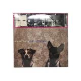 SEALED Kristen Barry - Man of the Year - 12" Viny