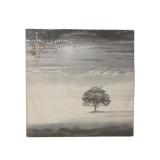 Genesis - Wind & Wuthering - LP - VG+
