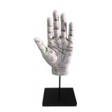 Resin Palmistry Hand Sculpture on Stand