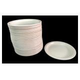 SiLite 500 Melamine Bread and Butter Plates