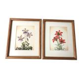 Lyman Byxbe Signed Botanical Art Prints, Pr.