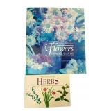 Linda Burgess Flowers for All Seasons and Herbs