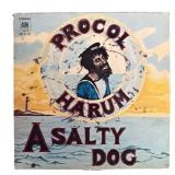 Procol Harum - A Salty Dog - Vinyl Record - VG+