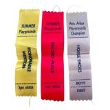 Ann Arbor Summer Playgrounds Award Ribbons (Set of