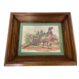 Framed Pheasant Wildlife Print, 13x11