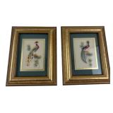 Pair Framed Feather Art Bird Pictures 9.5x7.5