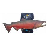 Timberline Taxidermy 49 in. King Salmon Mount