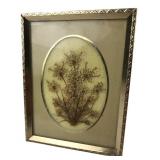 Framed Pressed Dried Botanical Art 3.5x4.5"