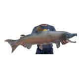 32" Taxidermy Spawning Male Salmon Wall Mount