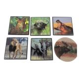 Set of 6 Wildlife Cork Back Coasters