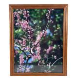 Framed Pink Blossom Nature Photograph