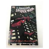 Amazing Spider-Man Died In Your Arms Tonight