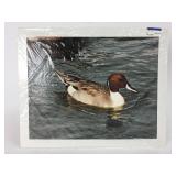 Vintage Duck Art Print