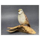 Wooden White Throated Sparrow