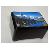 Scenic Reuge Music Box Made in Switzerland