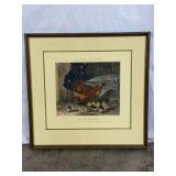 Framed Print of Hen and Chicks-9676