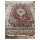 Hand-Knotted Rug-9666