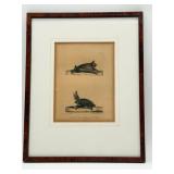 19th Century Framed Bat Lithograph-10413