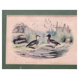 Lithograph of Ducks-10412