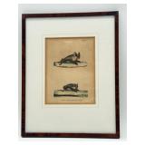Antique Lejeune Bat Engraving-10226