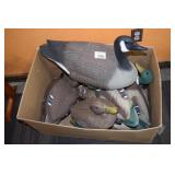 Box of Decoys