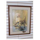 Lab Dog Framed Print