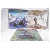 (3) John Denver Vinyls