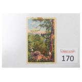 Vintage "Hot Springs National Park, ARK" Postcard