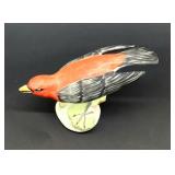 Petite English Staffordshire bird Tanager