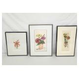 James Shell signed botannical prints