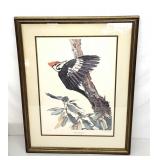 Artist signed Sallie Middleton woodpecker print