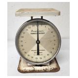 American Family Scale works