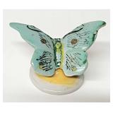 Occupied ajapan butterfly