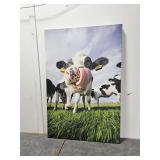 32x48 Cow Print