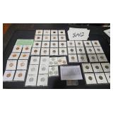 collectible pennies, war cents, wheat, vdb